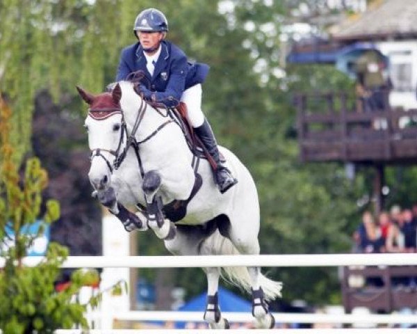 Springpferd Caritiar Z (Zangersheide Reitpferd, 2000, von Chellano Z)