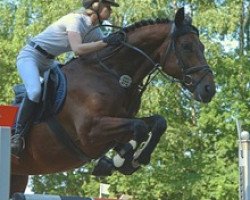 stallion Fortune (Westphalian, 2001, from Fidji du Fleury)