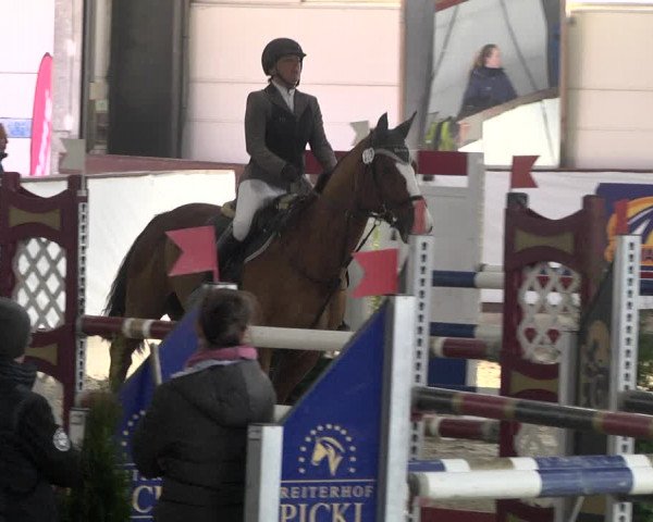 Reitturnier Karlsfeld 2022