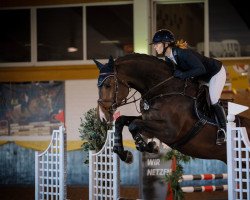jumper Lomello N.d. (KWPN (Royal Dutch Sporthorse), 2016, from Gino)