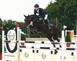 broodmare Quinderella G (Westphalian, 2008, from Quinta Real)