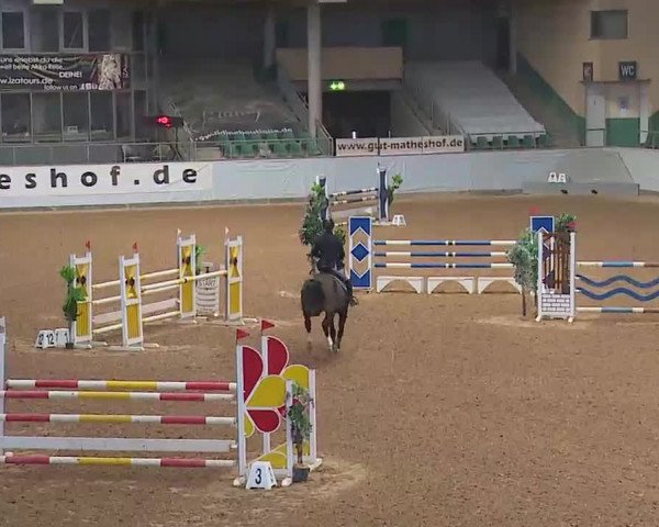 Reitturnier Kreuth/Opf. 2022