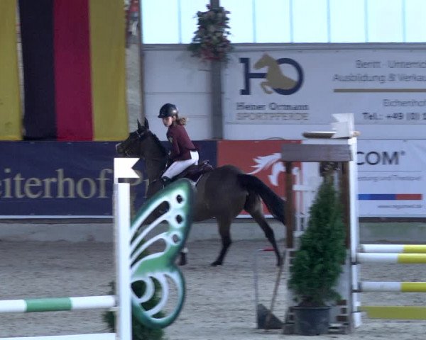 Reitturnier Karlsfeld 2022