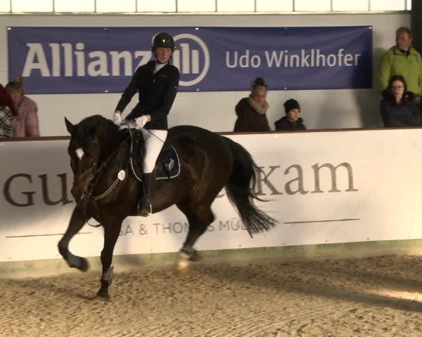 Reitturnier Karlsfeld 2022