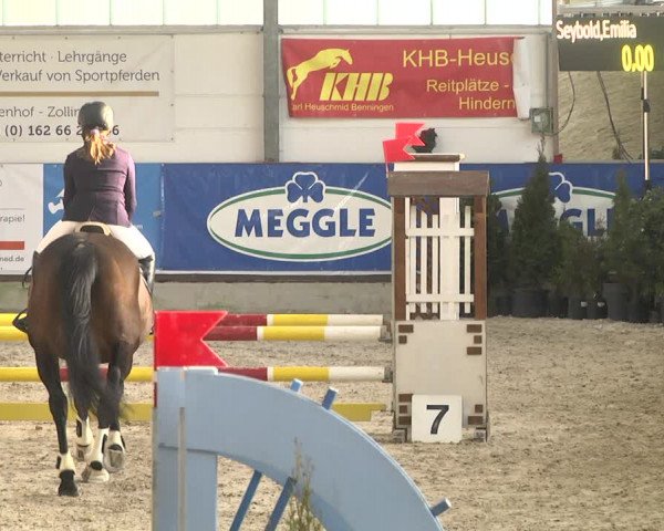 Reitturnier Karlsfeld 2022