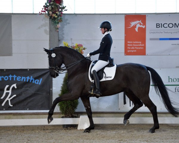 dressage horse Gut Wettlkam's Chuck Bass (Westphalian, 2014, from Cennin)