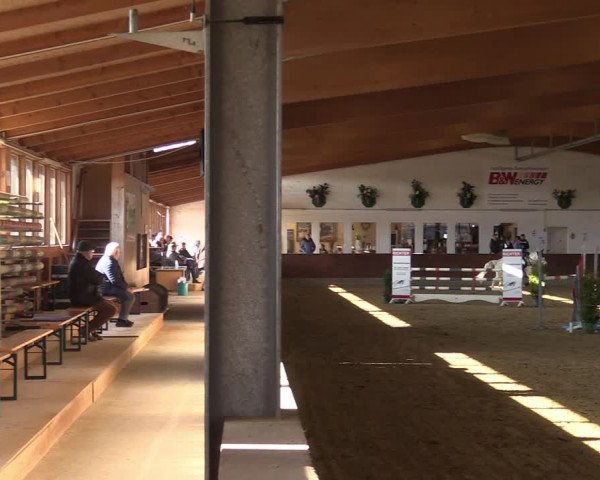 Reitturnier Coesfeld-Lette 2022