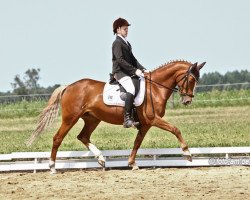 dressage horse Fehkamps Mia Roos (German Riding Pony, 2005, from FS Don't Worry)