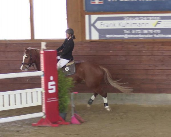 Reitturnier Coesfeld-Lette 2022