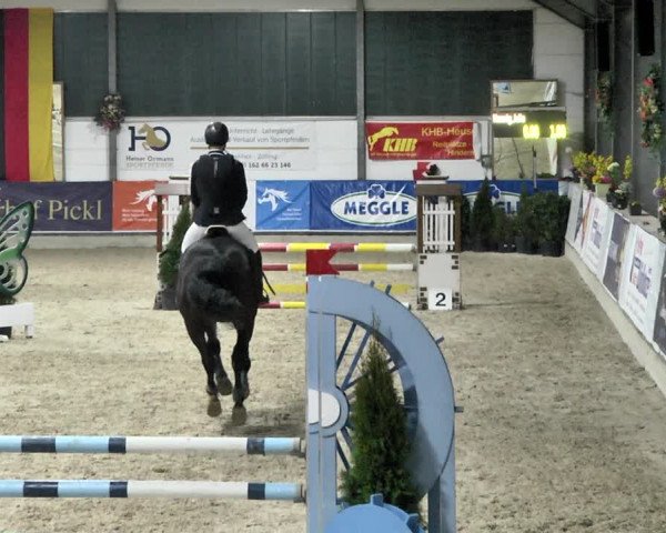 Reitturnier Karlsfeld 2022