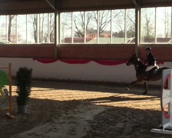 Reitturnier Greven 2022
