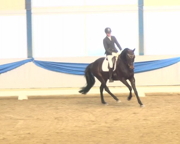 Reitturnier Buchs 2022