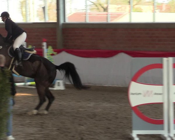 Reitturnier Greven 2022