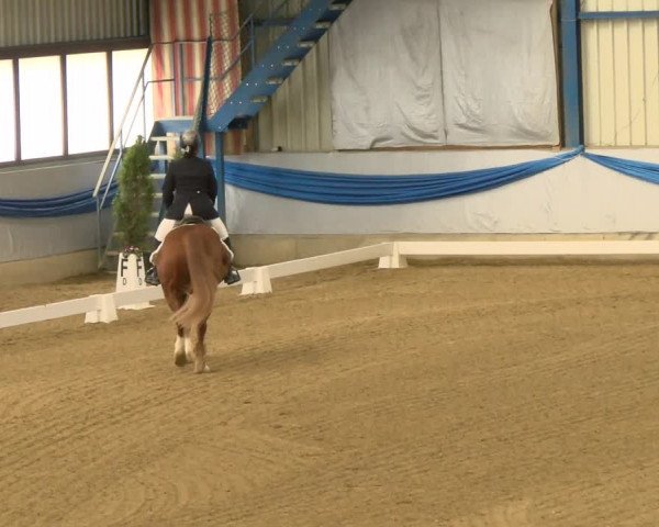 Reitturnier Buchs 2022
