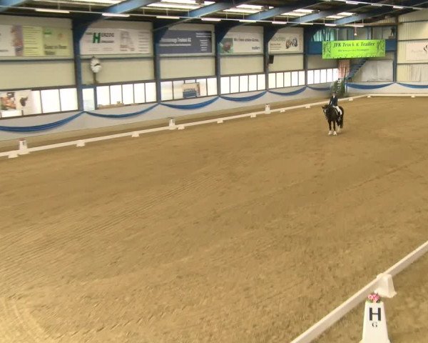 Reitturnier Buchs 2022