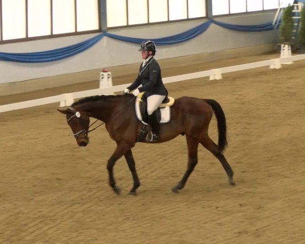 Reitturnier Buchs 2022