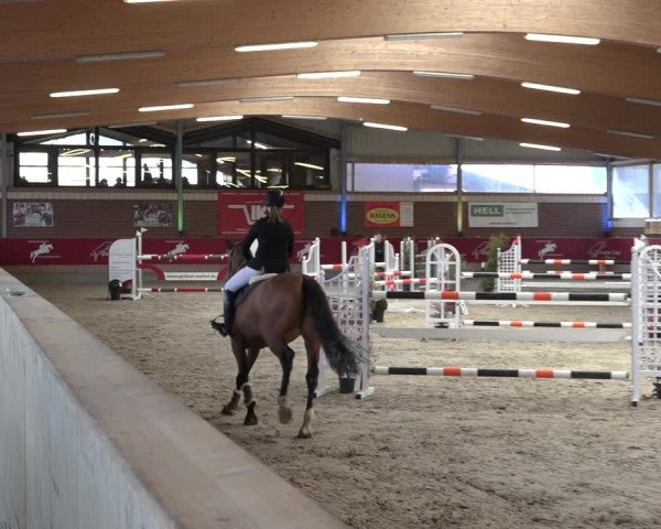Reitturnier Kaldenkirchen - Gestüt Seehof 2022