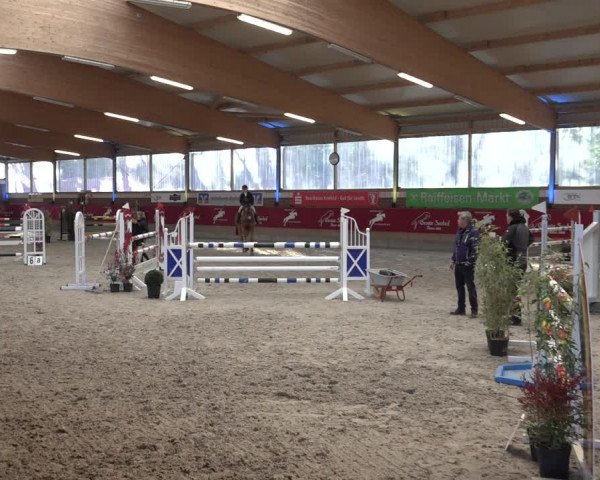 Reitturnier Kaldenkirchen - Gestüt Seehof 2022