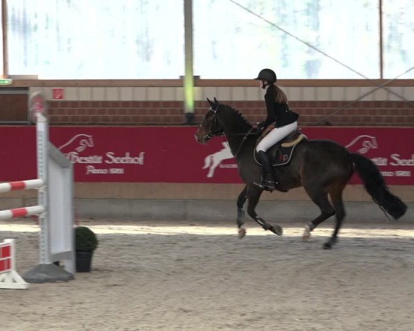 Reitturnier Kaldenkirchen - Gestüt Seehof 2022