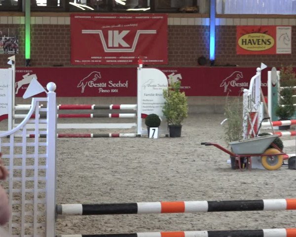 Reitturnier Kaldenkirchen - Gestüt Seehof 2022