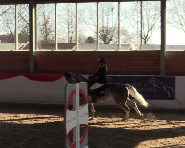 Reitturnier Greven 2022