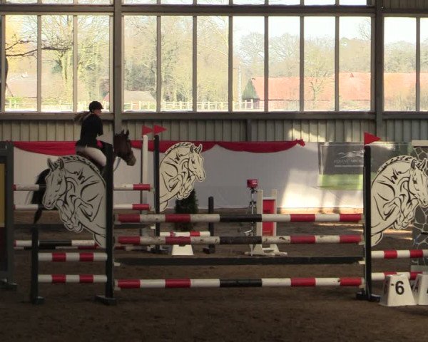 Reitturnier Greven 2022
