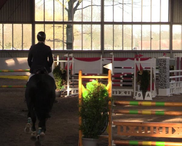 Reitturnier Greven 2022