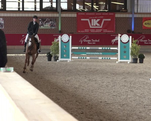 Reitturnier Kaldenkirchen - Gestüt Seehof 2022