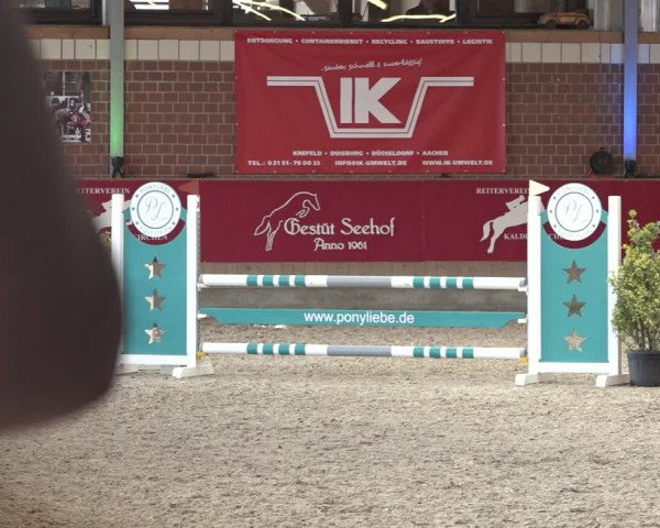 Reitturnier Kaldenkirchen - Gestüt Seehof 2022