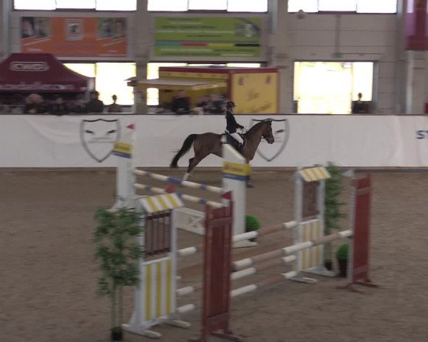 Reitturnier Prussendorf 2022