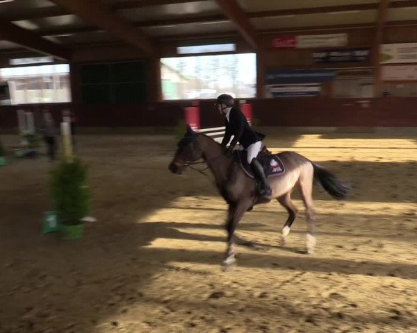Reitturnier Coesfeld-Lette 2022