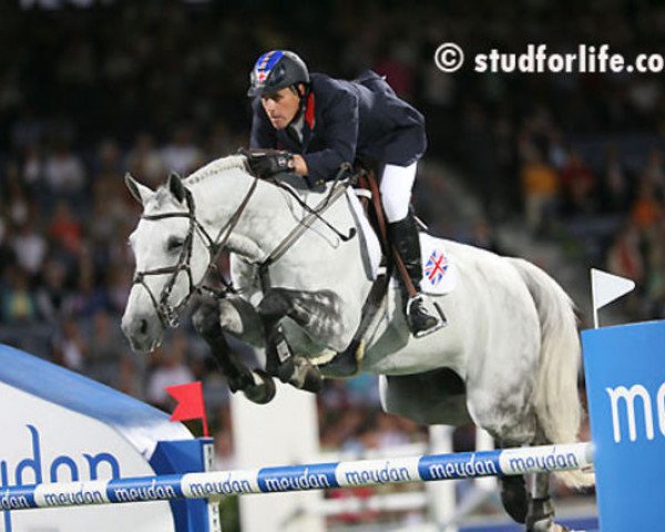 Springpferd Unex Chamberlain Z (Zangersheide Reitpferd, 2001, von Chellano Z)