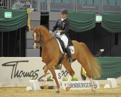 dressage horse Lezard 12 (Rhinelander, 2005, from Lord Loxley I)