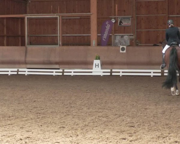 Reitturnier Schwendi 2022