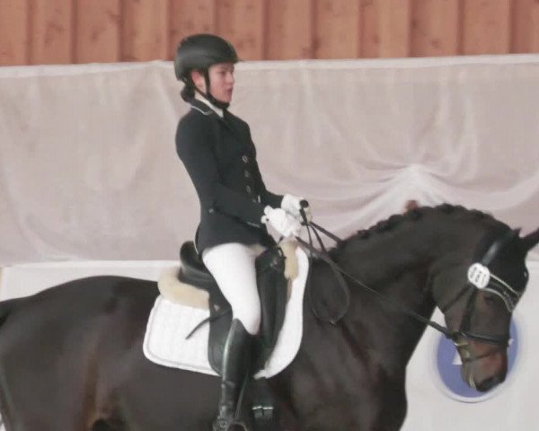 Reitturnier Schwendi 2022