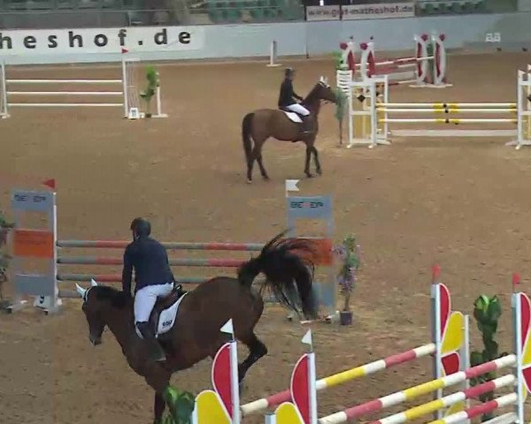 Reitturnier Kreuth/Opf. 2022