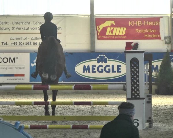Reitturnier Karlsfeld 2022