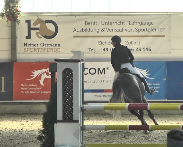 Reitturnier Karlsfeld 2022