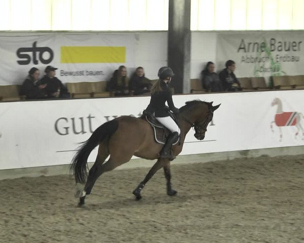 Reitturnier Karlsfeld 2022