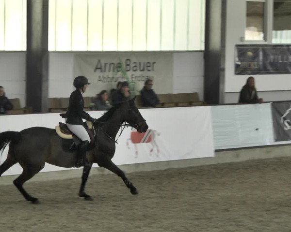 Reitturnier Karlsfeld 2022