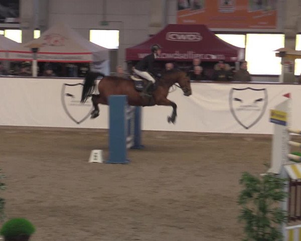 Reitturnier Prussendorf 2022