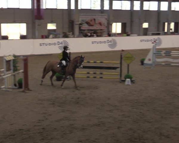 Reitturnier Prussendorf 2022