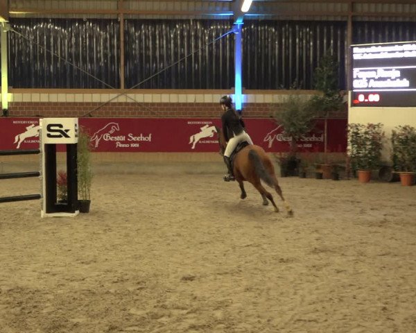 Reitturnier Kaldenkirchen - Gestüt Seehof 2022