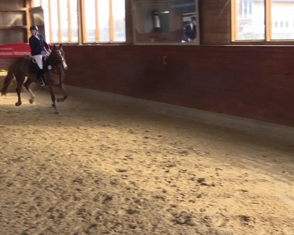 Reitturnier Coesfeld-Lette 2022