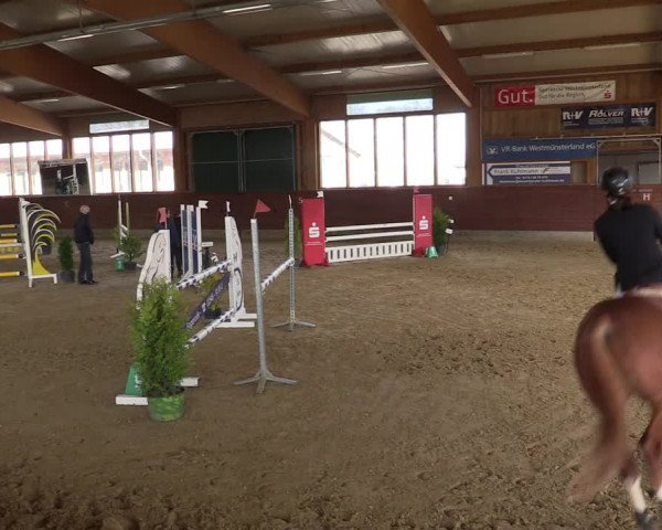 Reitturnier Coesfeld-Lette 2022