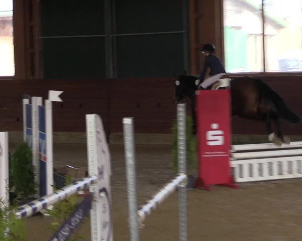 Reitturnier Coesfeld-Lette 2022