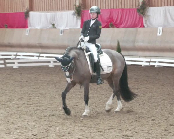 Reitturnier Schwendi 2022