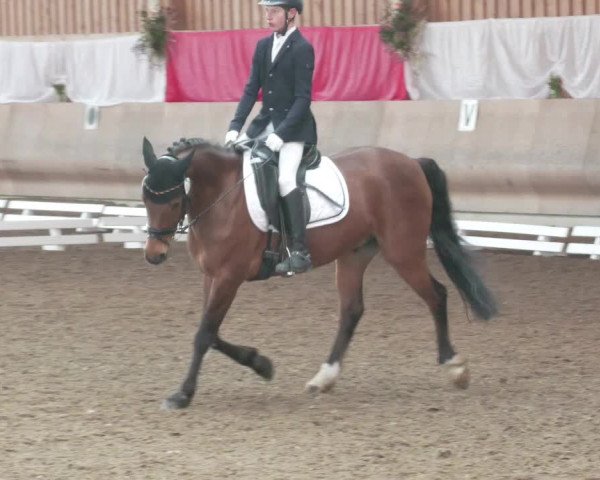 Reitturnier Schwendi 2022