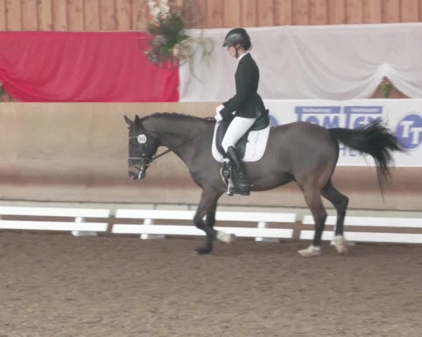 Reitturnier Schwendi 2022