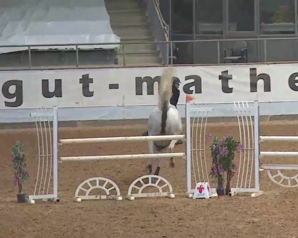 Reitturnier Kreuth/Opf. 2022